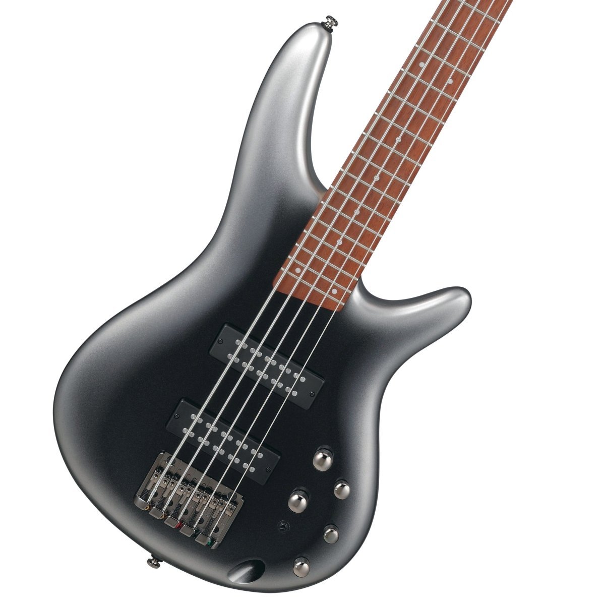 アイバニーズ セミアコ5弦ベース ibanez AGBV205A - ベース