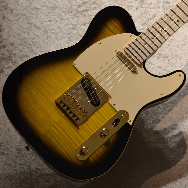 Fender Richie Kotzen Telecaster ～Brown Sunburst～ #JD22015968