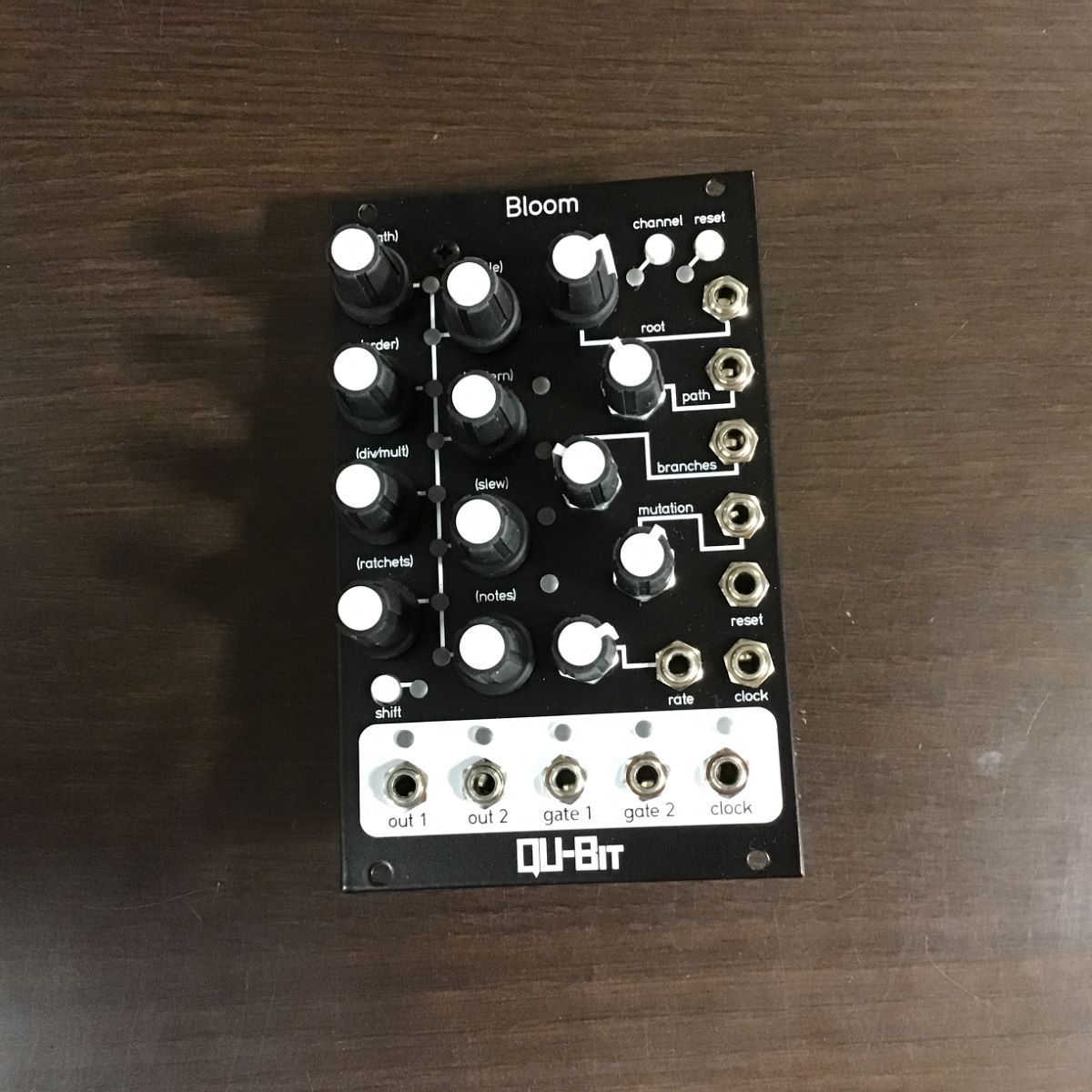 Qu-bit Electronix Bloom【店頭展示品】（新品/送料無料）【楽器検索