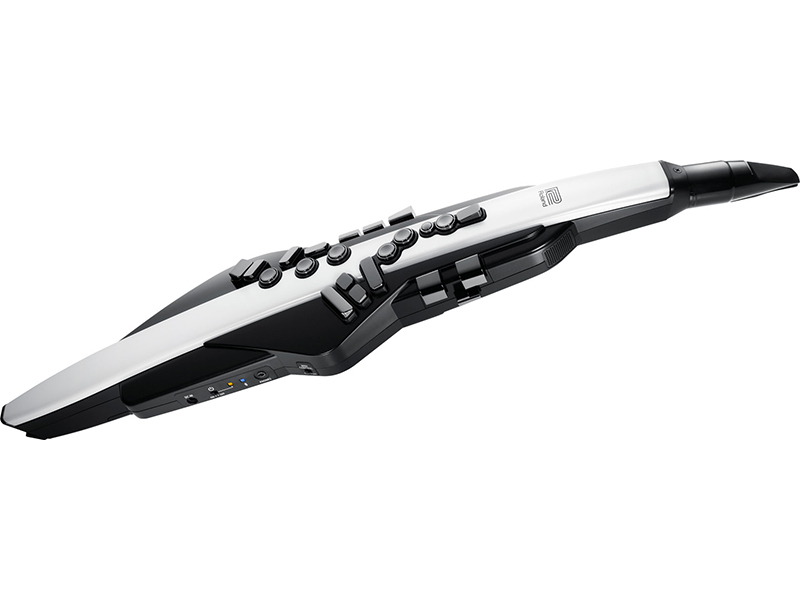 Roland AE-20 Aerophone◇限定特価!【ローン分割手数料0%(12回まで