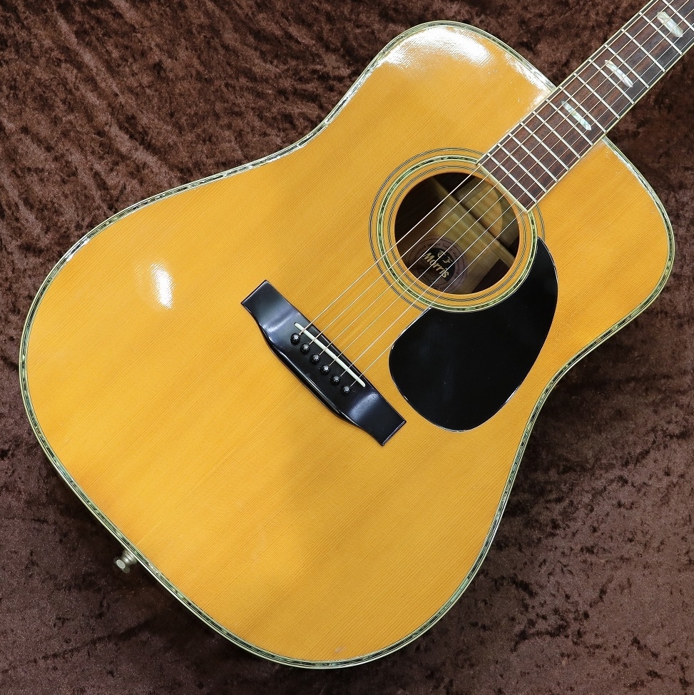 アコギ TF Morris W-50 モーリス アコースティックギター 