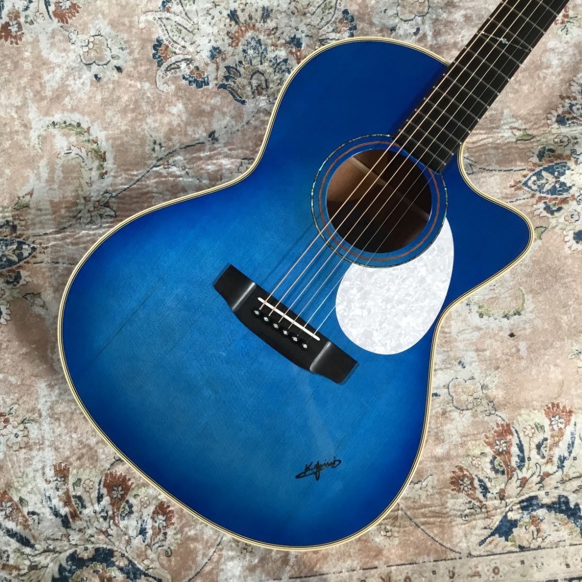 エレアコ アコースティックギター takamine NPT-108 ハードケース