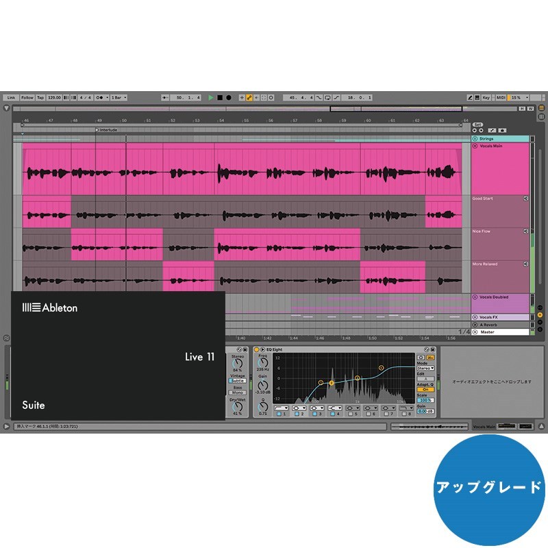 Ableton Live 11 Suite UPG from Live Lite(アップグレード版 ...