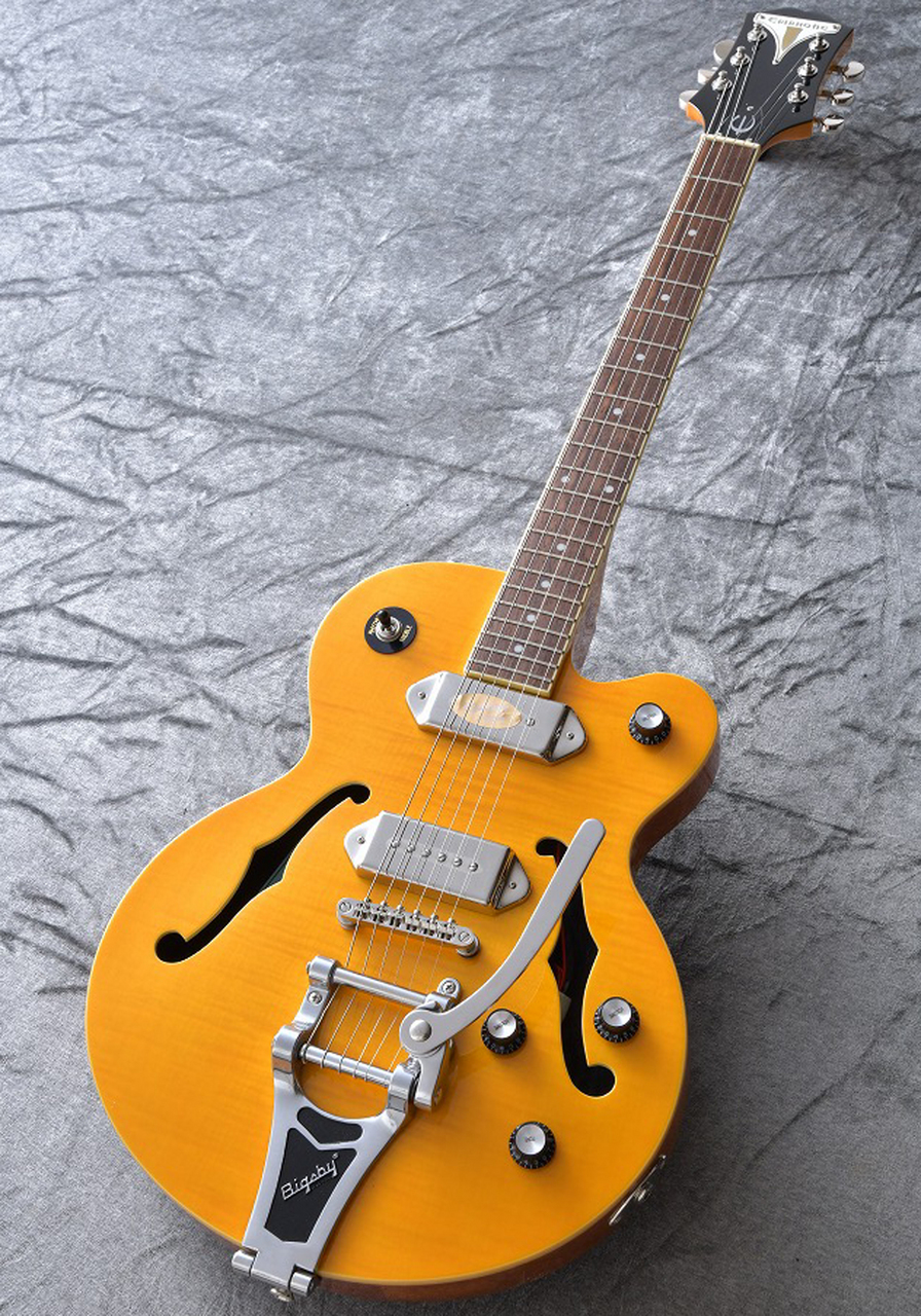 Epiphone WILDKAT with Bigsby (Antique Natural)【アクセサリーセット
