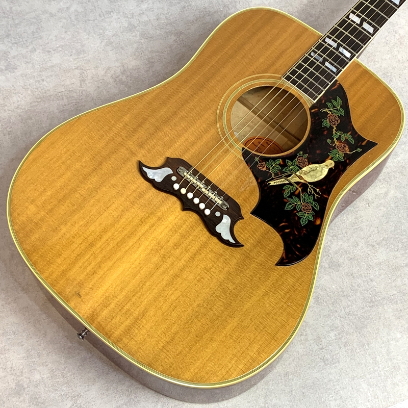 Gibson 1965 Dove（ビンテージ/送料無料）【楽器検索デジマート】