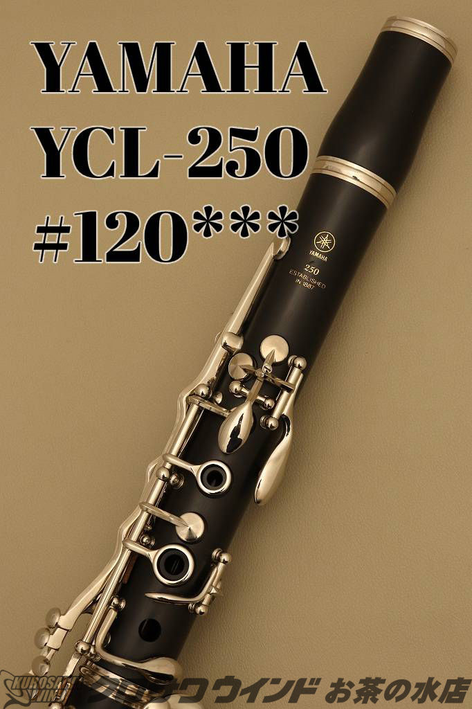 暖色系 YAMAHA クラリネット YCL-250 - 通販 - www.nautla.gob.mx