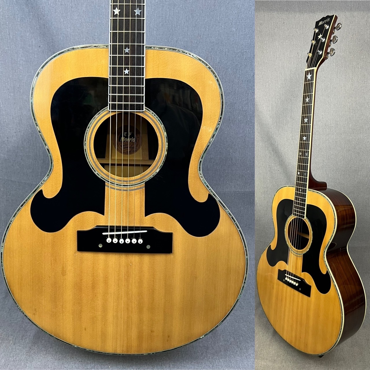 Morris WJ-25 アコースティックギター 髭ギター 札幌 西岡発 - 弦楽器