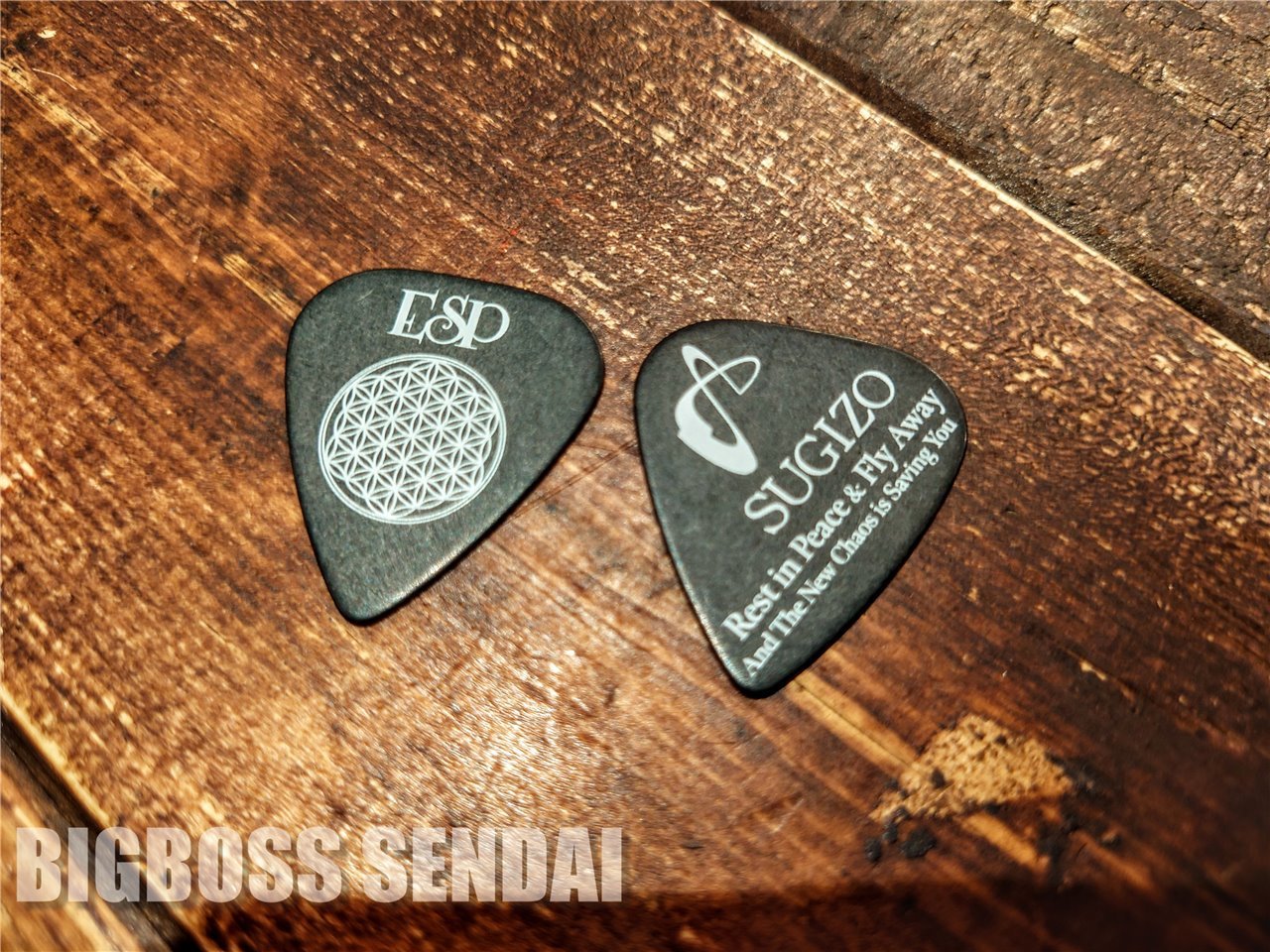 ESP PA-LS08 TOUR 2023【10枚セット/即納可能】（新品）【楽器検索