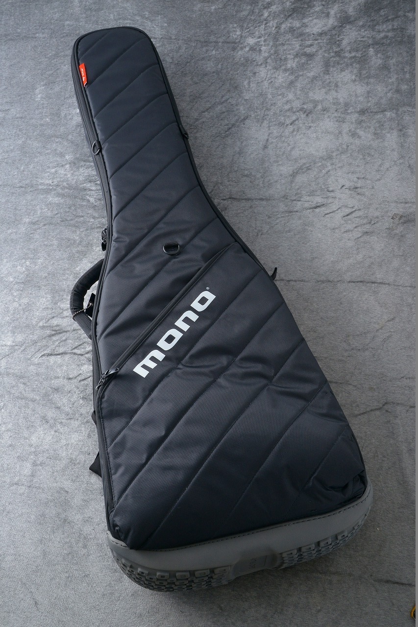 mono bass case