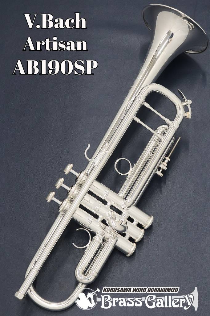総銀製トランペットバルブガイド: 現行Bach(180シリーズ)用3個セット Amazon | Bach Stradivarius 180 トランペットバルブガイド 3個
