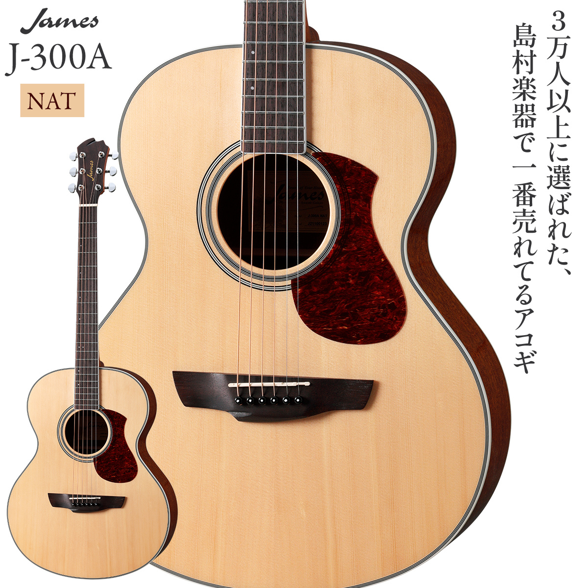 James J-300A NAT(ナチュラル) アコースティックギターJ300A（新品 