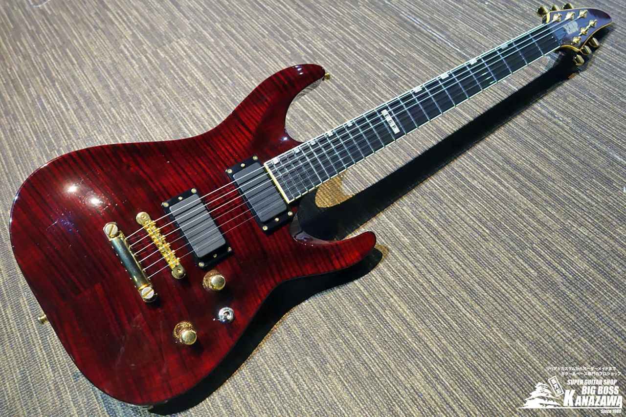 ESP HORIZON CUSTOM - エレキギター