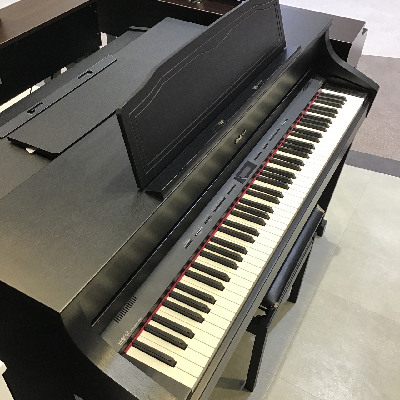 国内正規品 Roland ローランド 最高峰電子ピアノ HP-508GP | dizmekaro.com