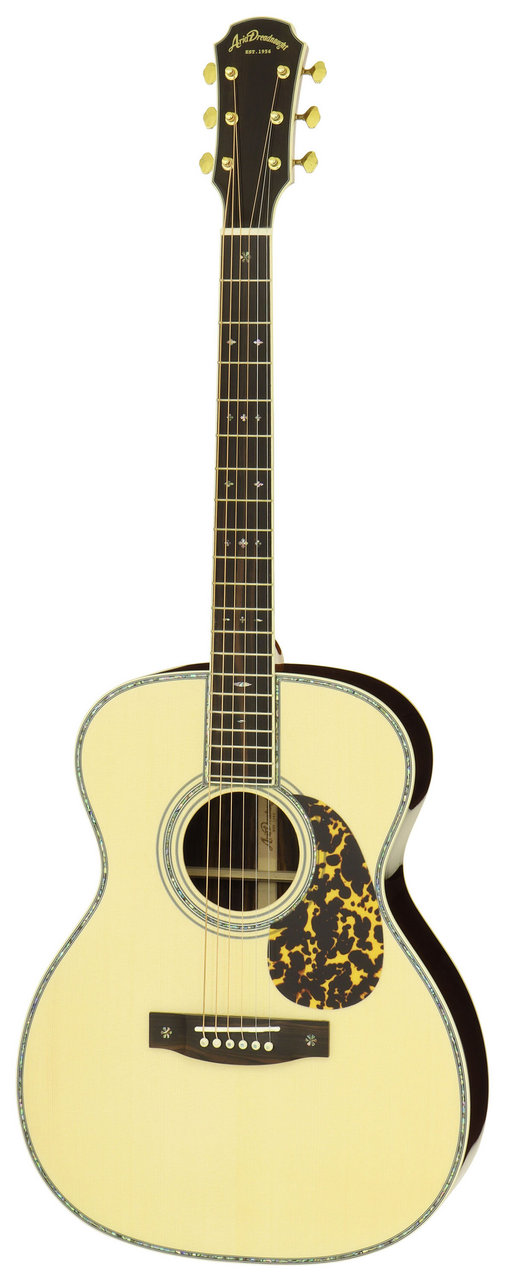 定番から日本未入荷 ARIA ABC-300 CF BK -Classic Folk Guitar- アリア クラシックギター フォークギター用ギグバッグ  ブラック qdtek.vn