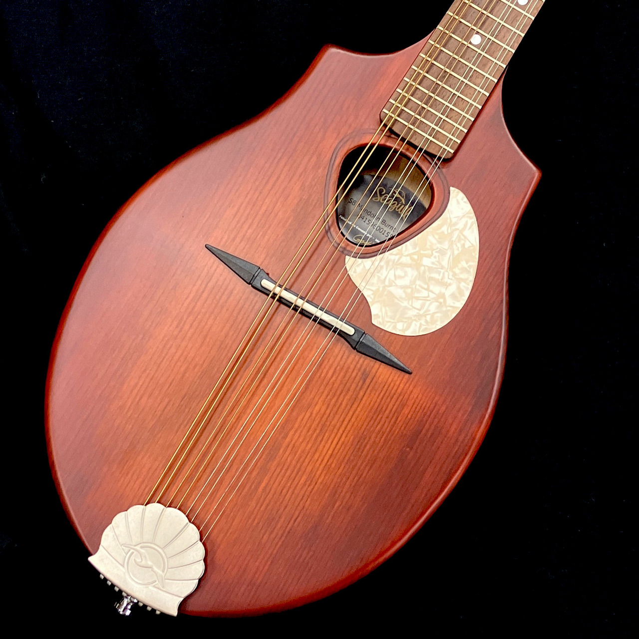 Seagull S8 Mandolin Burnt Umber （B級特価）【楽器検索デジマート】