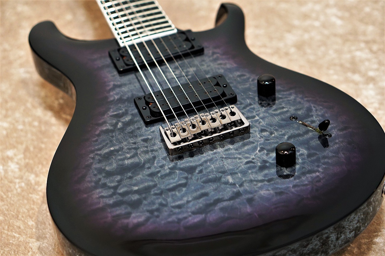 Paul Reed Smith(PRS) SE MARK HOLCOMB www.krzysztofbialy.com