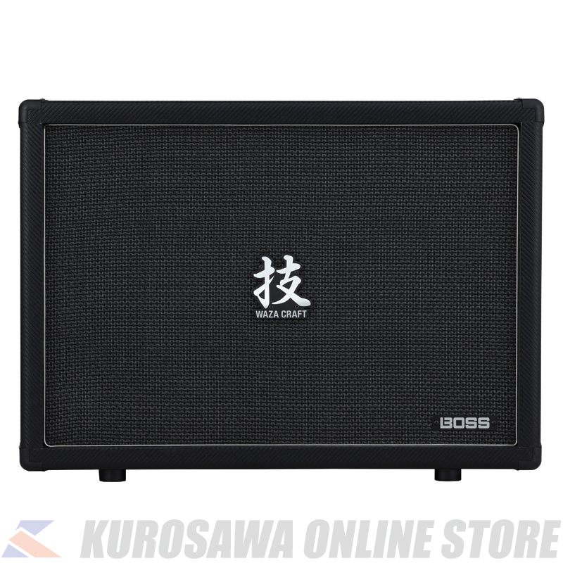 guitar amp and cabinet
