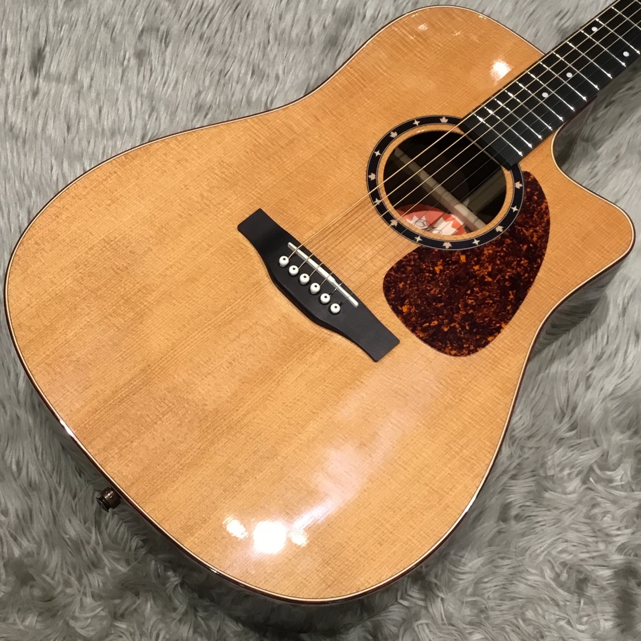 Norman アコースティックギター 値下げ交渉可能！