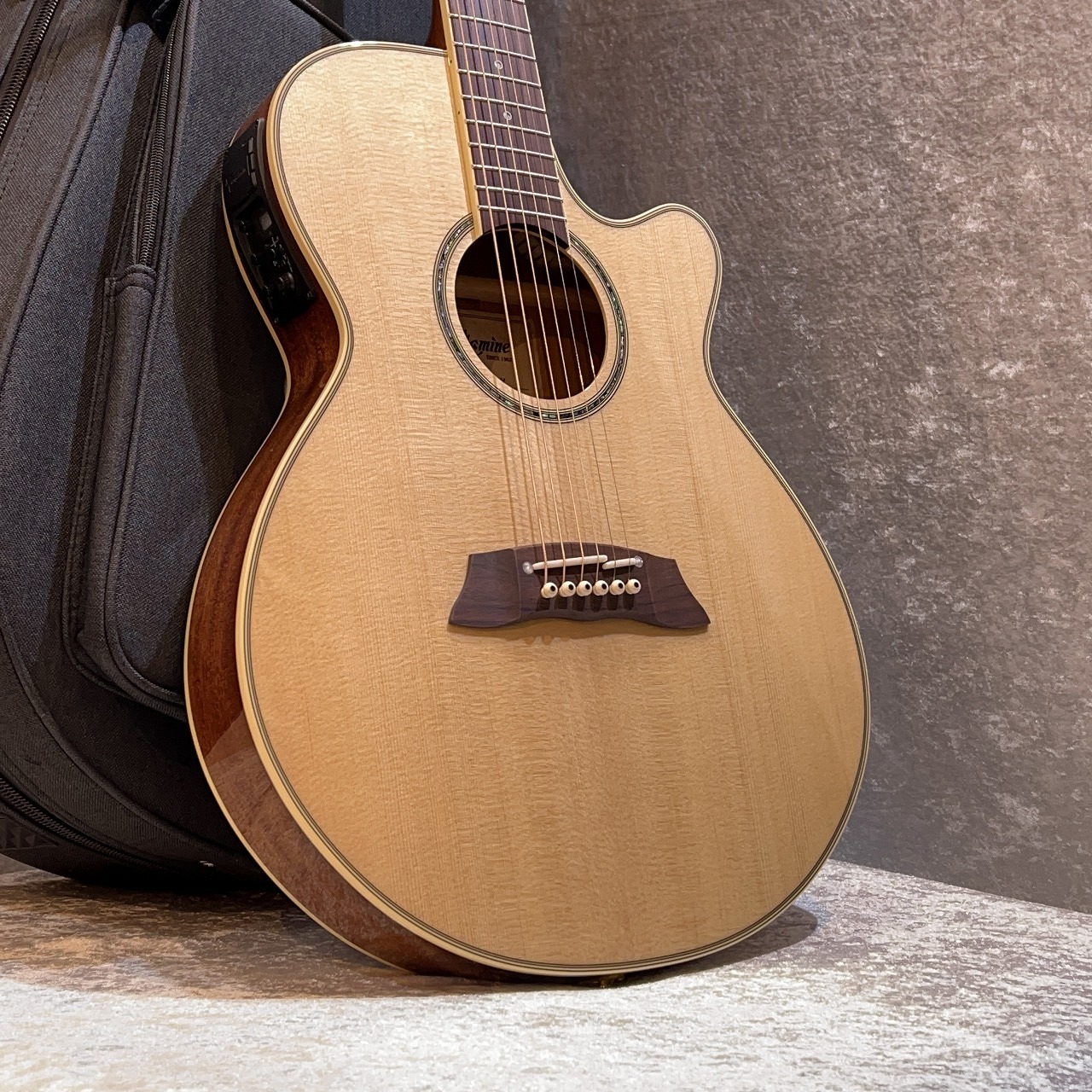 Takamine TSP138C N【薄型エレアコ】【セミアコの様な弾き心地】（新品