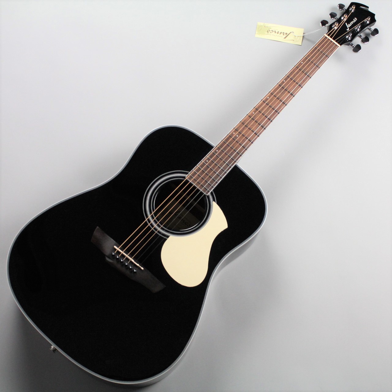 James 450D /Ova NAT - アコースティックギター