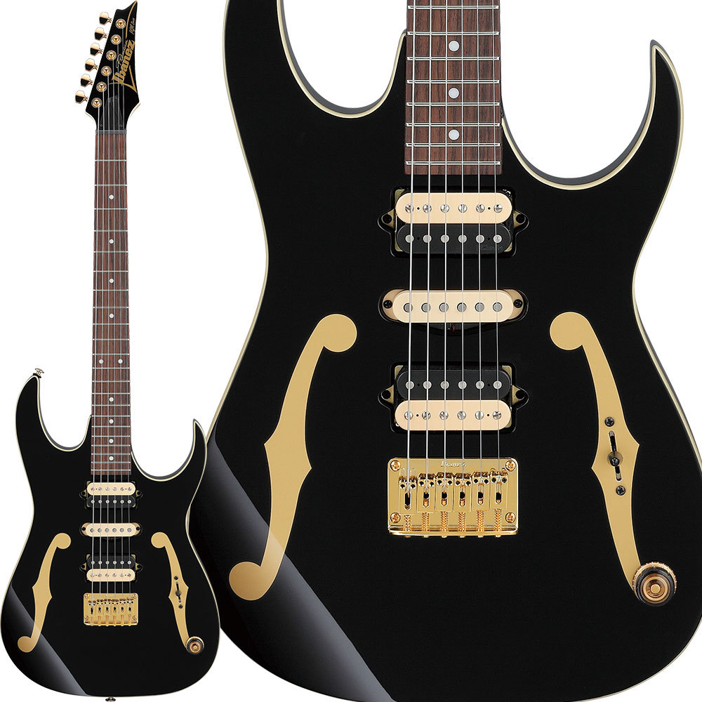 Ibanez PGM300 ポールギルバートモデル - エレキギター