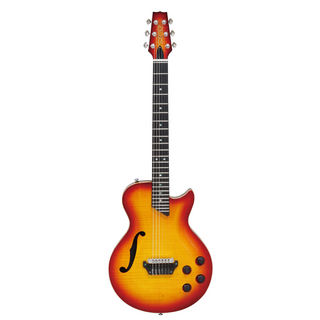 MD-MM Produce SE-01/F CS エレクトリッククラシックギター