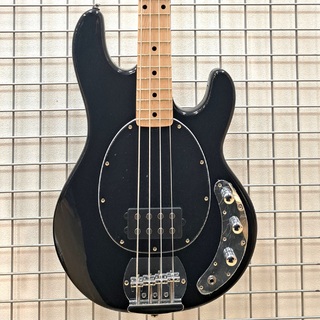 Sterling by MUSIC MAN SUB RAY4 / Black【チョイキズ特価!!!】