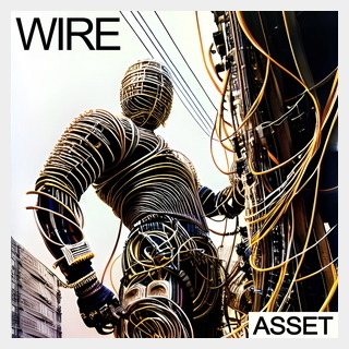 INDUSTRIAL STRENGTH WIRE - ASSET