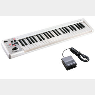 RolandA-49 WH ホワイト DP-2ペダルセット 49鍵盤MIDIキーボード 【WEBSHOP】