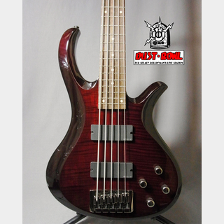 SCHECTER AD-ROT-5