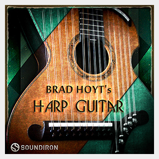SOUNDIRON BRAD HOYT'S HARP GUITAR