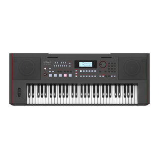 Rolandローランド E-X50 Arranger Keyboard アレンジャーキーボード