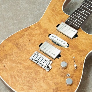 Kz Guitar Works 真・木太郎 Standard #T0166 【西尾知矢氏シグネイチャーモデル】【6本限定生産】
