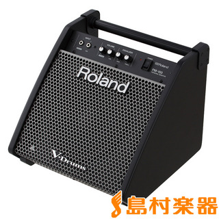 RolandPersonal Monitor PM-100 パワードモニターアンプ [ V-Drums / 電子パーカッション ]専用PM100