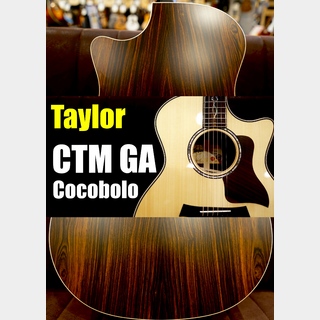Taylor【個体演奏動画あり】CTM GA -Cocobolo J-Spec【アンディ パワーズ選定木材杢目】
