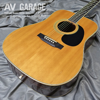 GrecoSW-200 Acoustic Guitar