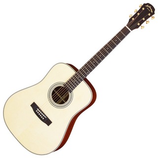 ARIA AD-511 N アコースティックギター