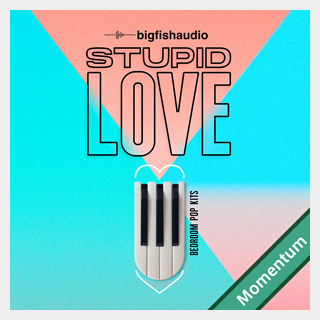 bigfishaudio STUPID LOVE - BEDROOM POP KITS MMT