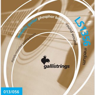 Galli Strings LS1356 Medium Phosphor Bronze アコースティックギター弦 .013-.056【名古屋栄店】