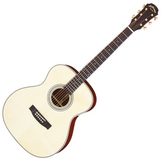ARIAAF-501 N アコースティックギター