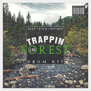 KRYPTIC SAMPLES TRAPPIN IN FOREST