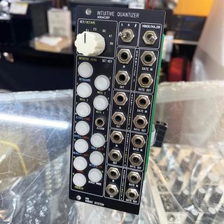 ADDAC SystemADDAC207 Intuitive Quantizer