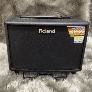 RolandAC-33 【展示品】アコースティックギター用 ステレオアンプAC33