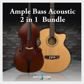 AMPLE SOUND AMPLE BASS ACOUSTIC 2 IN 1 BUNDLE