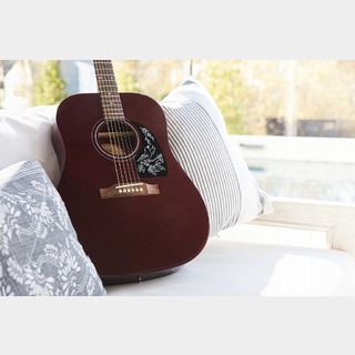 Epiphone 【NEW】Starling Acoustic Guitar Player Pack Dark Wine Red【初心者・入門者向け】