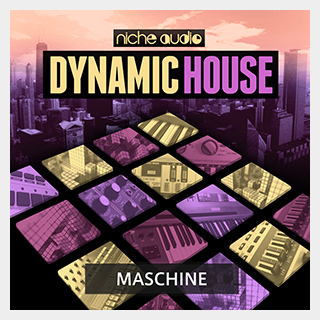 NICHE AUDIO DYNAMIC HOUSE - MASCHINE