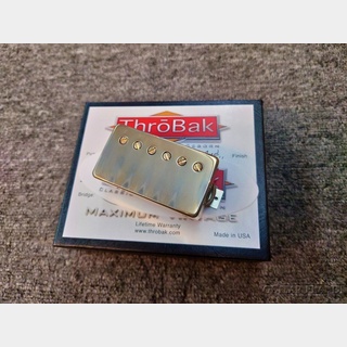 ThroBakSLE-101 MXV -Aged Gold- 'Bridge'【ギブソンフロア取扱品】