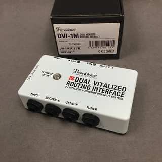 Providence DUAL VITALIZED ROUTING INTERFACE DVI-1M
