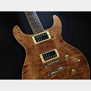 Wisdom Guitars DC5s / Brown Amber【中古品】