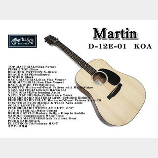 Martin D-12E-01 KOA